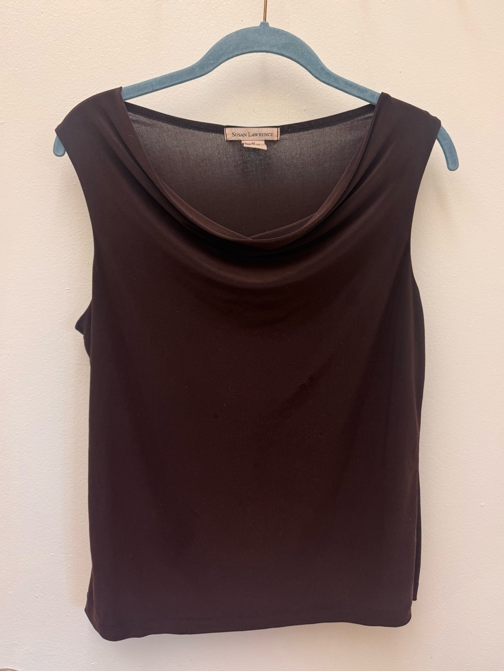 Susan Lawrence brown top